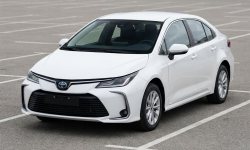 Toyota Corolla kiralık araç